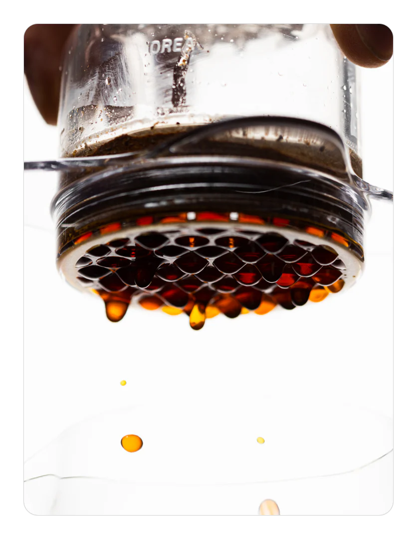 OREA Z1 Brewer | Kumquat Coffee Co